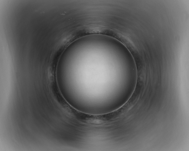 X0000116130743200911231235