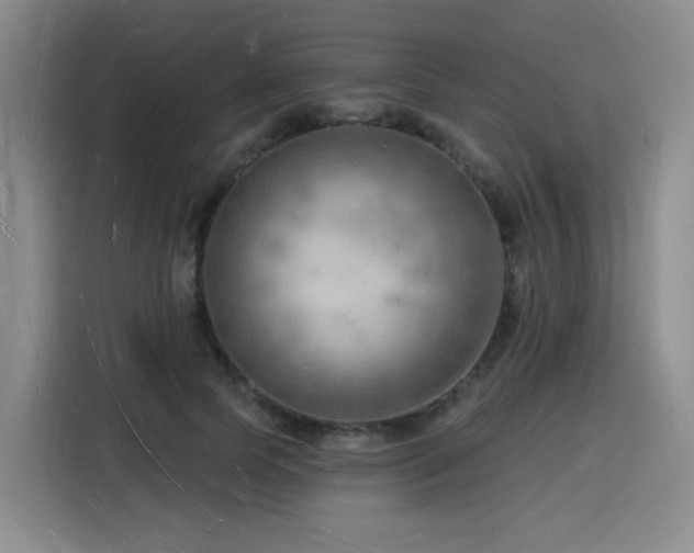 X0000116130745200911231235