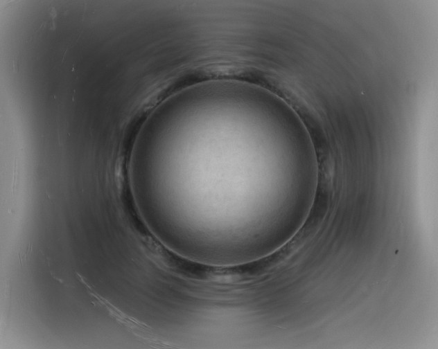 X0000116130746200911231235