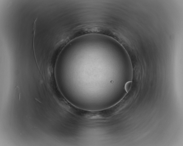 X0000116130747200911231235