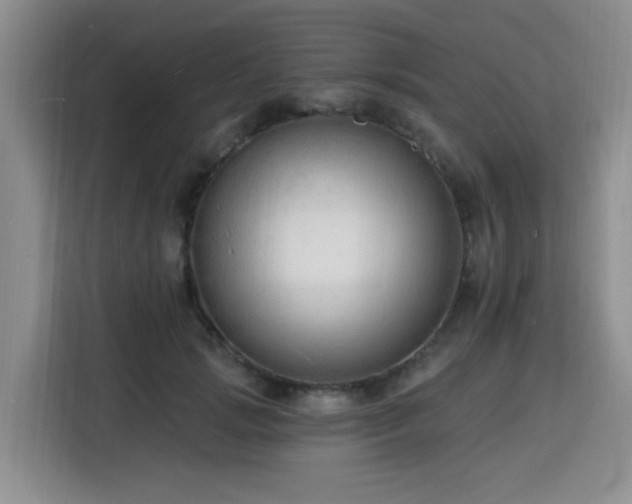 X0000116130749200911231235
