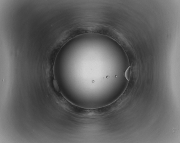 X0000116130750200911231235