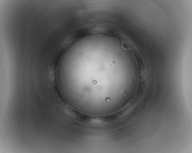 X0000116130753200911231235