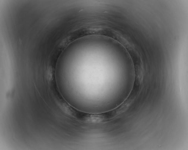 X0000116130758200911231235