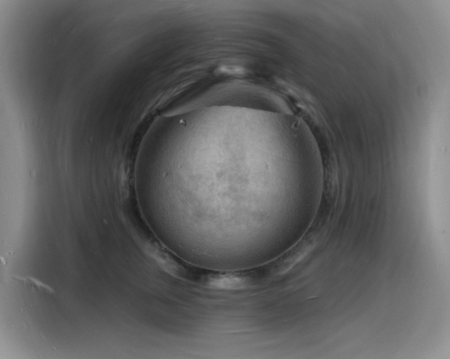 X0000116130759200911231235