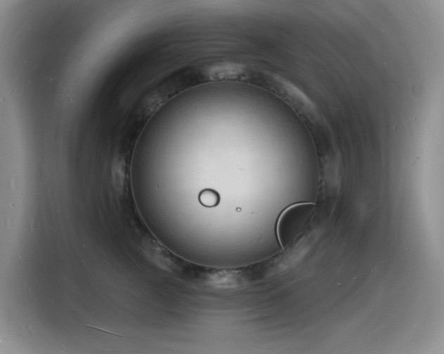 X0000116130761200911231235