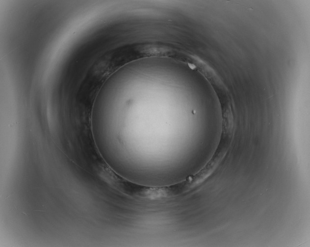 X0000116130762200911231235