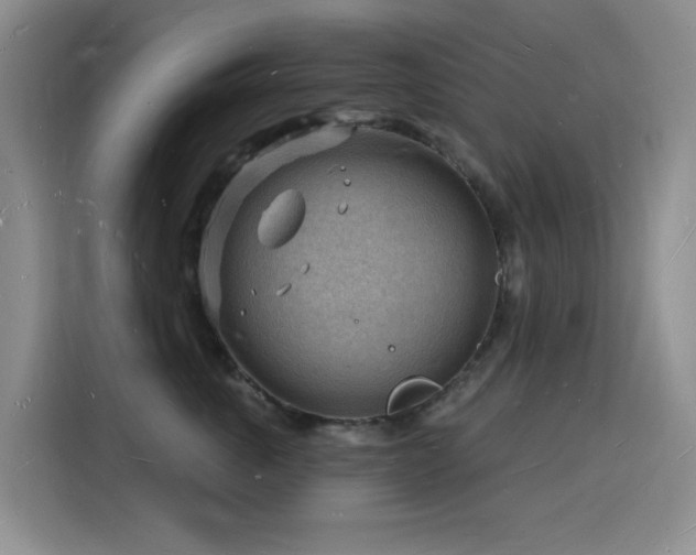 X0000116130763200911231235