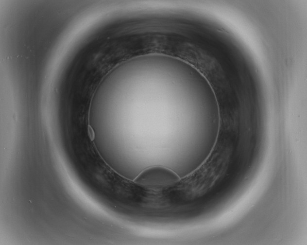 X0000116130766200911231235