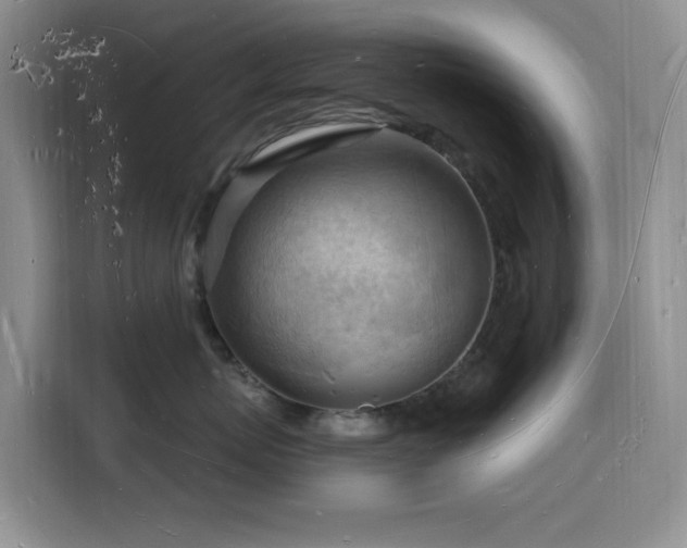 X0000116130767200911231235