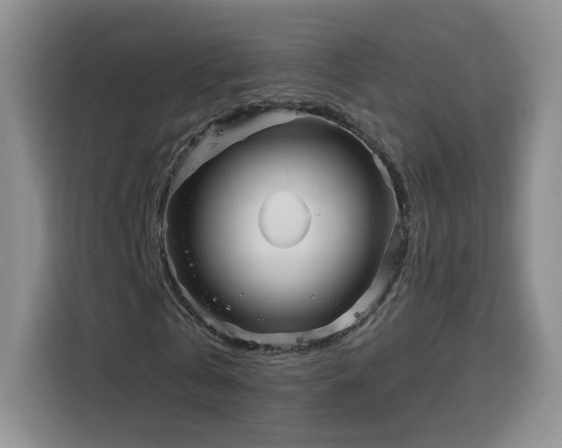 X0000116130769200911231234