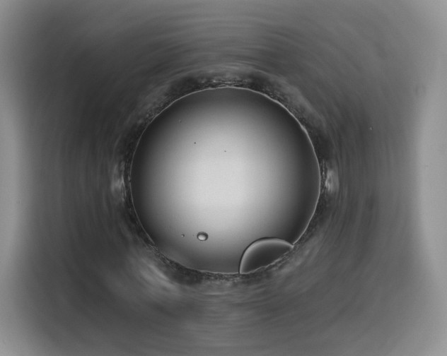 X0000116130771200911231234