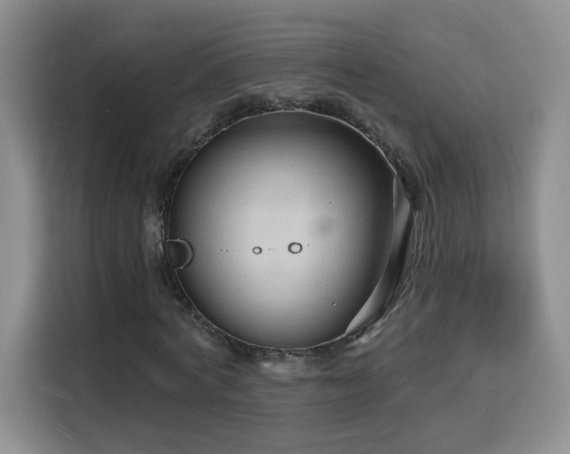 X0000116130772200911231234