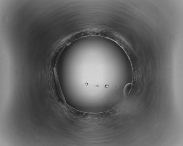 X0000116130773200911231234