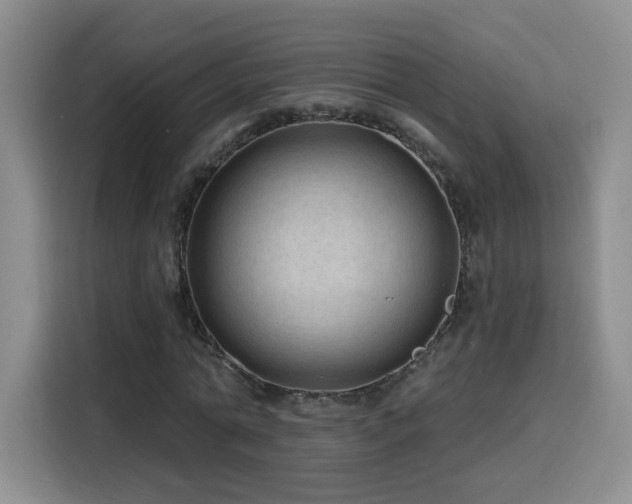 X0000116130774200911231234