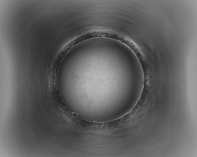 X0000116130775200911231234