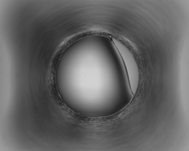 X0000116130776200911231234
