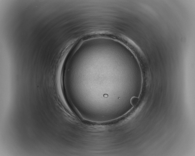 X0000116130777200911231234
