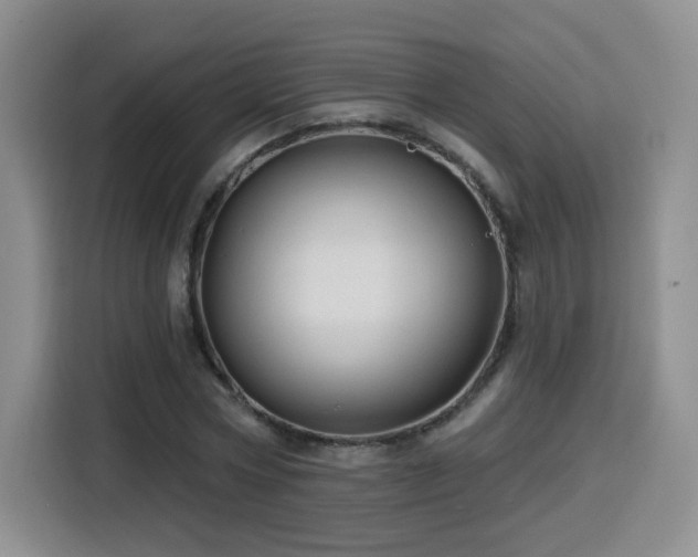 X0000116130778200911231234