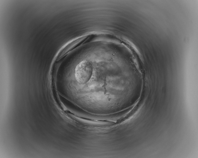 X0000116130779200911231234