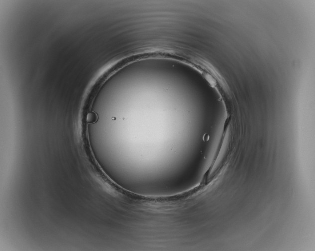 X0000116130780200911231234