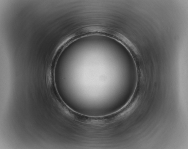 X0000116130782200911231234