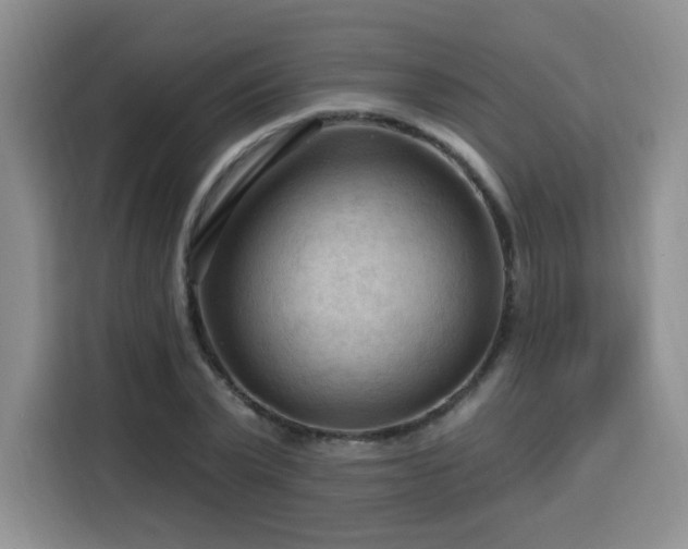 X0000116130783200911231234