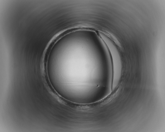 X0000116130784200911231234