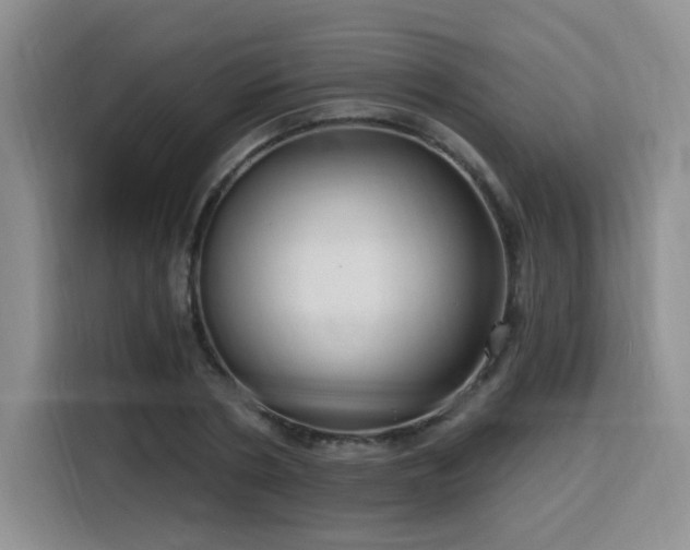 X0000116130786200911231234