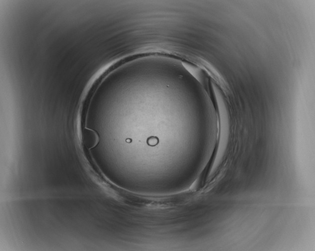 X0000116130788200911231234