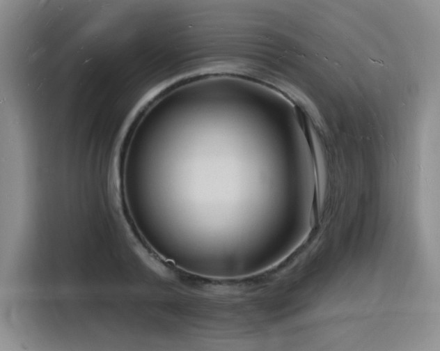X0000116130792200911231234