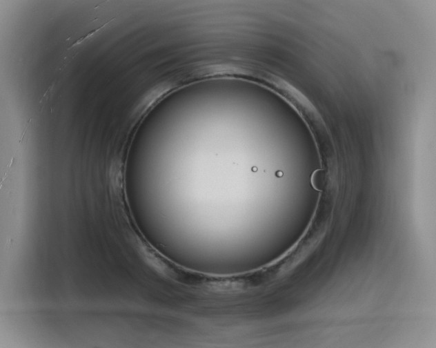 X0000116130793200911231234