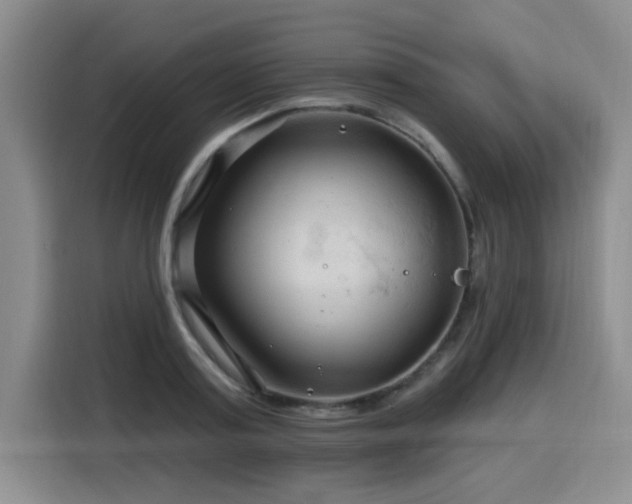 X0000116130795200911231234
