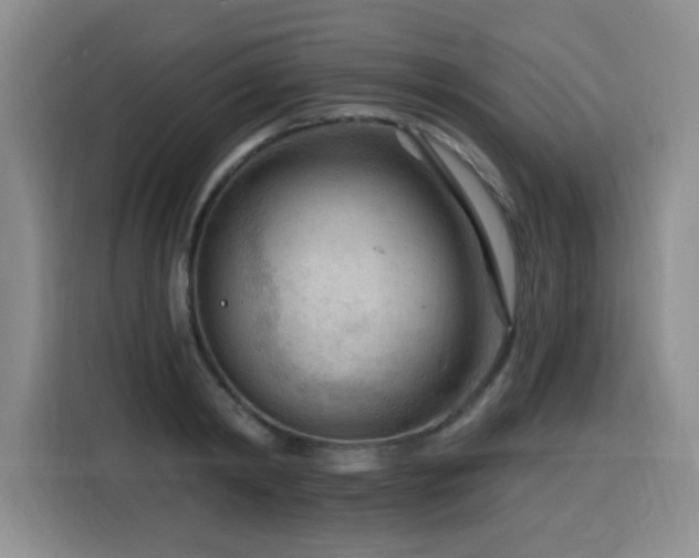 X0000116130798200911231234