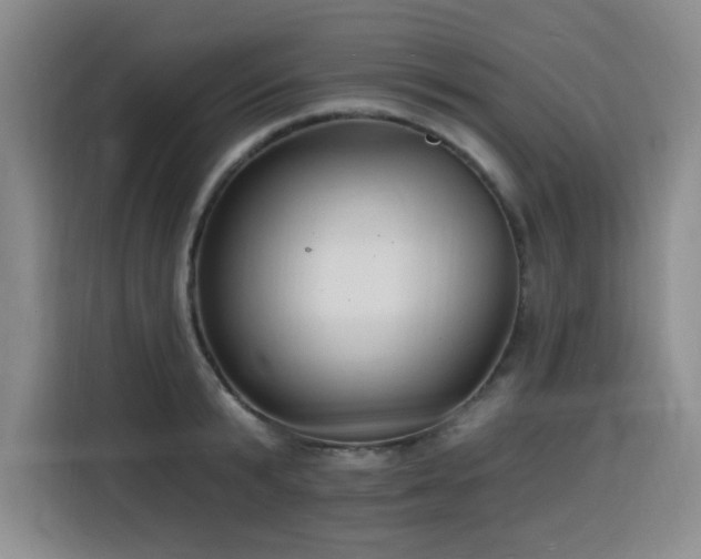 X0000116130799200911231234