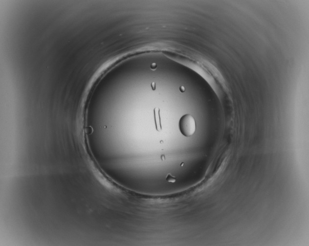 X0000116130800200911231234