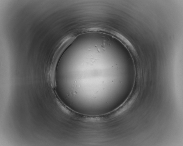 X0000116130801200911231234