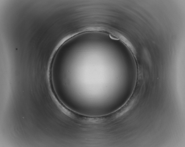 X0000116130803200911231234