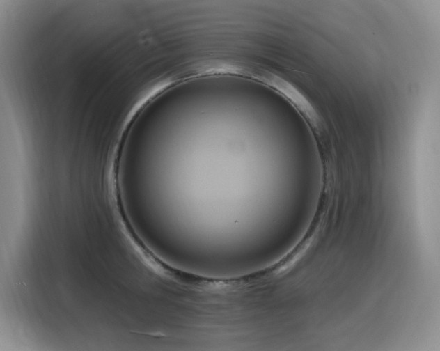 X0000116130806200911231234