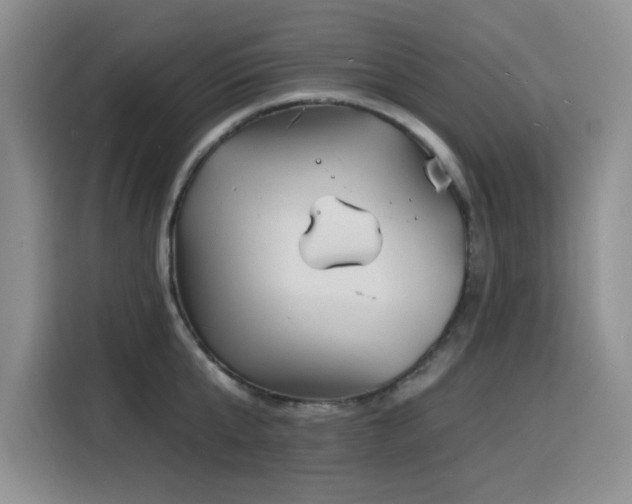 X0000116130807200911231234