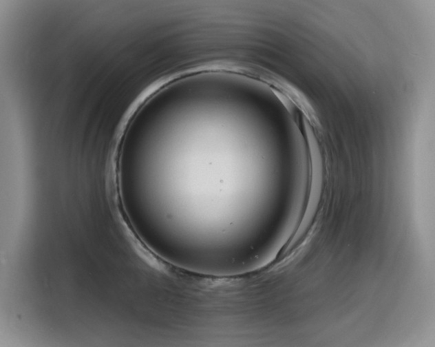 X0000116130808200911231234