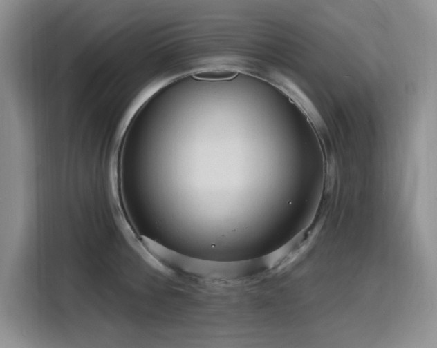 X0000116130812200911231234