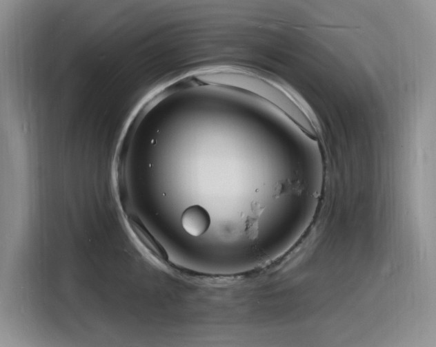 X0000116130813200911231234