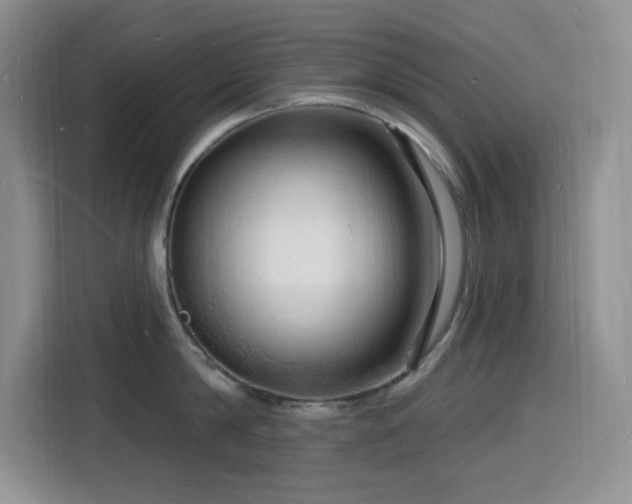 X0000116130814200911231234