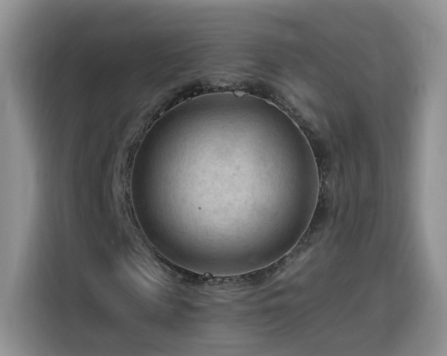 X0000116130817200911231233