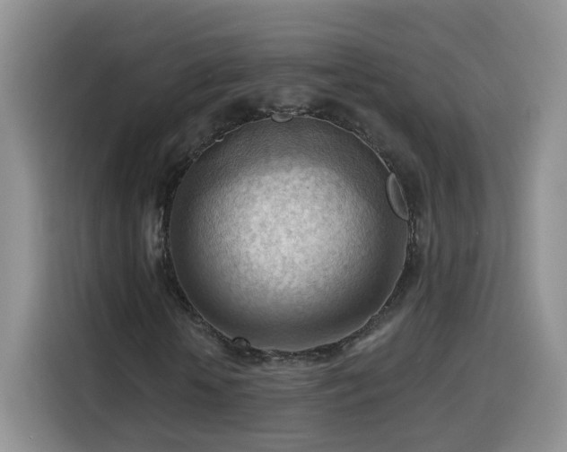 X0000116130818200911231233