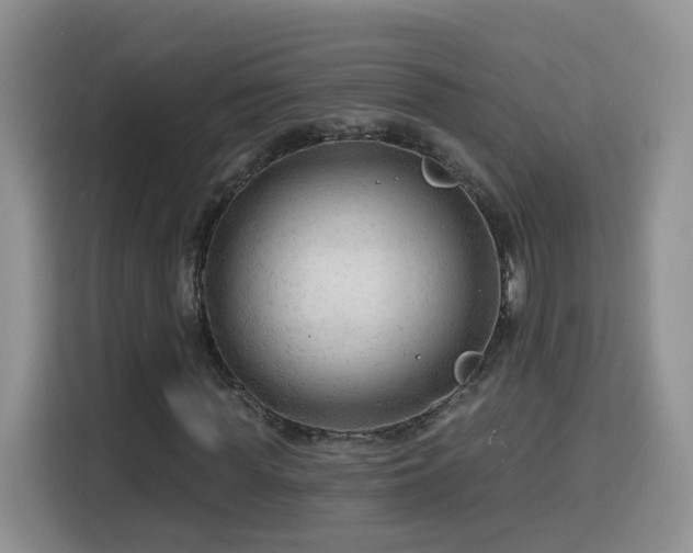 X0000116130819200911231233