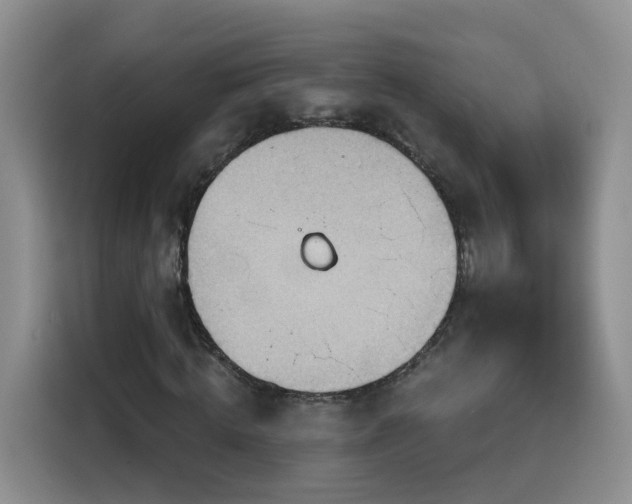 X0000116130820200911231233