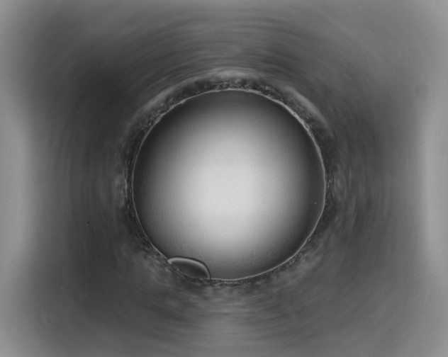 X0000116130821200911231233