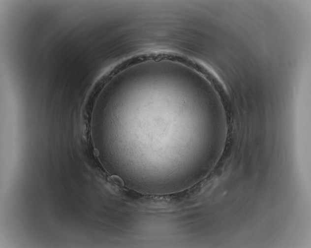 X0000116130823200911231233